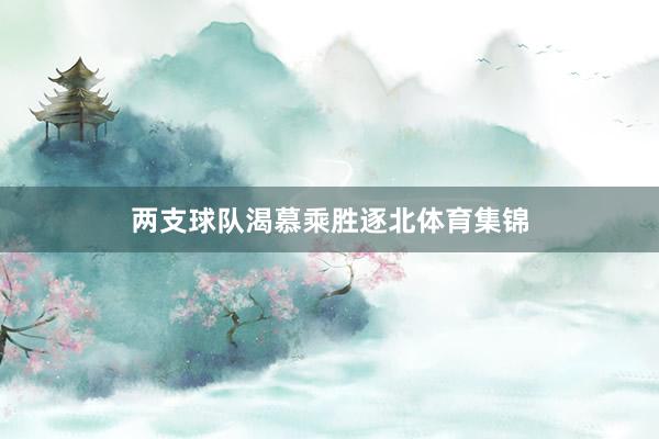 两支球队渴慕乘胜逐北体育集锦