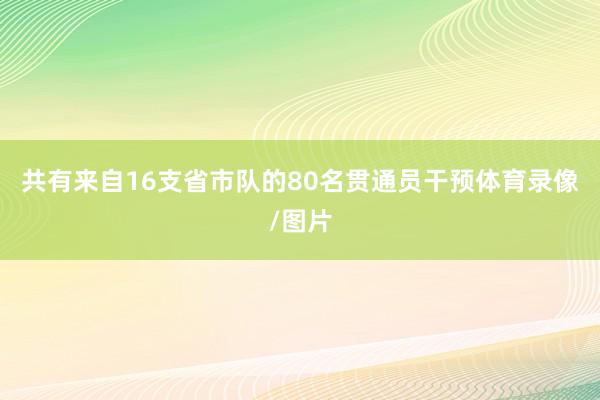 共有来自16支省市队的80名贯通员干预体育录像/图片