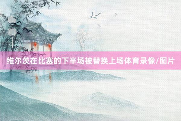 维尔茨在比赛的下半场被替换上场体育录像/图片