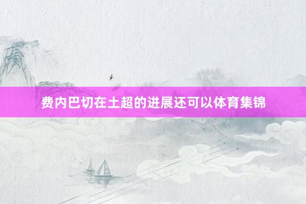 费内巴切在土超的进展还可以体育集锦
