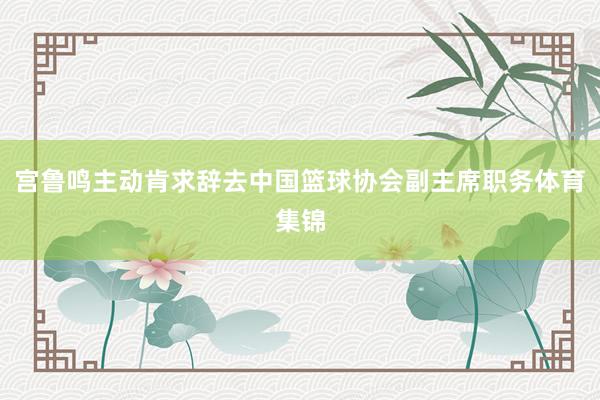 宫鲁鸣主动肯求辞去中国篮球协会副主席职务体育集锦
