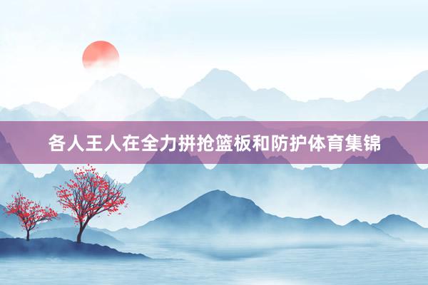 各人王人在全力拼抢篮板和防护体育集锦