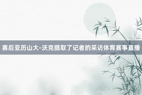 赛后亚历山大-沃克摄取了记者的采访体育赛事直播