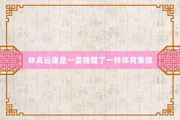 林高远像是一霎睡醒了一样体育集锦