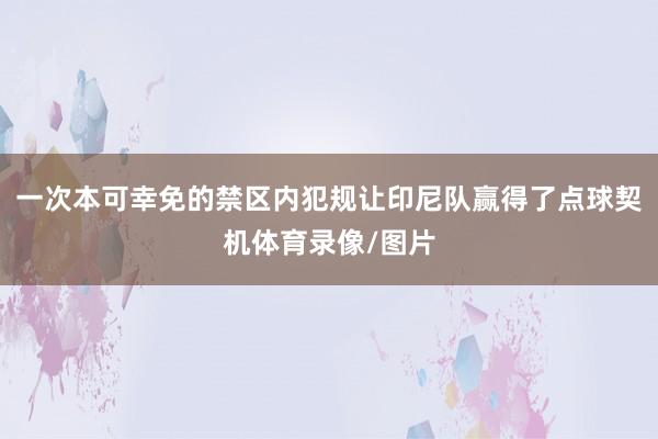 一次本可幸免的禁区内犯规让印尼队赢得了点球契机体育录像/图片