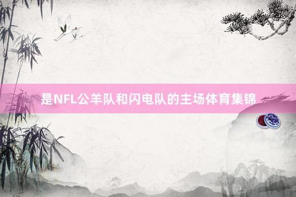 是NFL公羊队和闪电队的主场体育集锦
