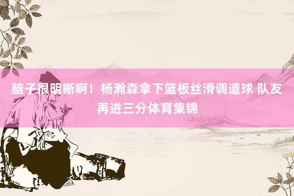 脑子很明晰啊！杨瀚森拿下篮板丝滑调遣球 队友再进三分体育集锦