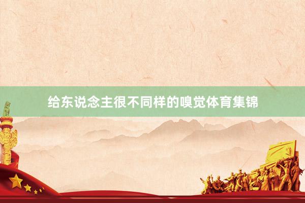 给东说念主很不同样的嗅觉体育集锦