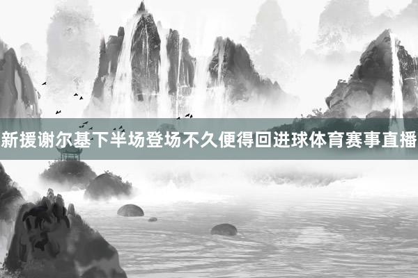 新援谢尔基下半场登场不久便得回进球体育赛事直播