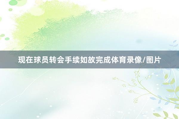 现在球员转会手续如故完成体育录像/图片
