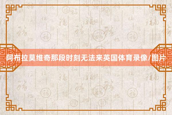 阿布拉莫维奇那段时刻无法来英国体育录像/图片