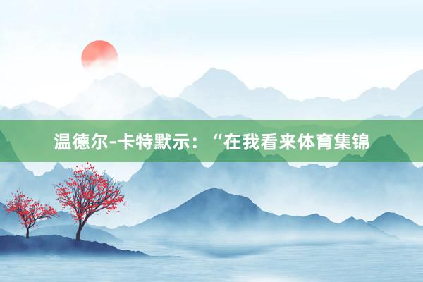 温德尔-卡特默示：“在我看来体育集锦