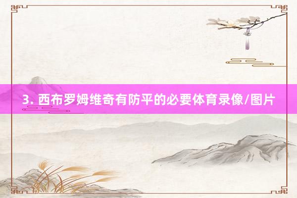 3. 西布罗姆维奇有防平的必要体育录像/图片