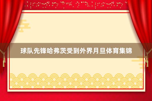 球队先锋哈弗茨受到外界月旦体育集锦