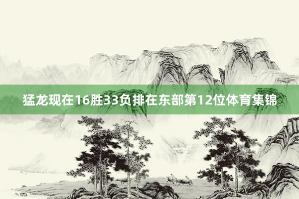 猛龙现在16胜33负排在东部第12位体育集锦