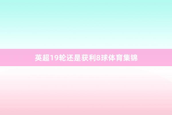英超19轮还是获利8球体育集锦